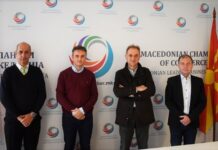 Без соодветни мерки за поддршка, рентакар секторот пред целосен колапс