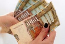 Колку изнесува К-15 за оваа година кај вработените лица