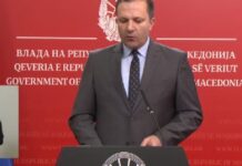 Спасовски: Издавањето викендици е кривично дело