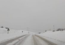 Укината забраната за тешки товарни возила на Плетвар