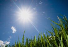 Сончево и топло до 27 степени, пороен дожд во среда