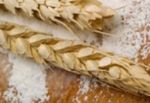 Косово ги враќа камионите со брашно: Причина -нивото на железо и фолна киселина