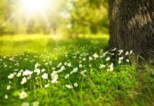 УХМР: Не очекува потопло лето и натпросечни температури