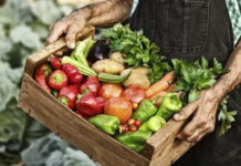 АХВ организира дебата по повод Светскиот ден на безбедна храна