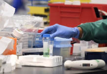 Демир Капија, Пехчево и Дојран се градовите без заболени од Ковид 19