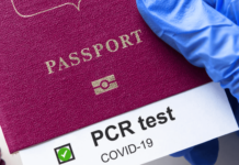 Лето без рестрикции