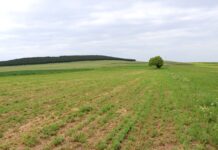 Продолжен рокот на поднесување барања за земјоделски субвенции