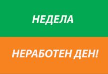 Ласовска: Владејачкото мнозинство одби да изгласа одржување на јавна расправа на тема законското решение „Недела неработен ден“