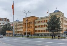 Намалувањето на ДДВ-то за струја на пленарна седница