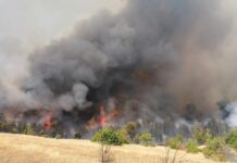 Петте хеликоптери веќе го гасат пожарот кај Пехчево