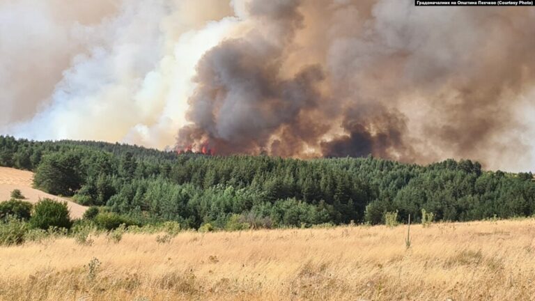 Милионски штети од пожарите, потребни пет децении за обнова на шумите