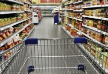 Колку пари му биле потребни на четиричлено семејство за да ги покрие основните потреби