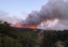 Гори на повеќе локации, ова е состојбата до 8.30 часот