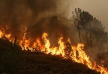 Ова е состојбата со активни пожари на територијата на Македонија до 8 часот