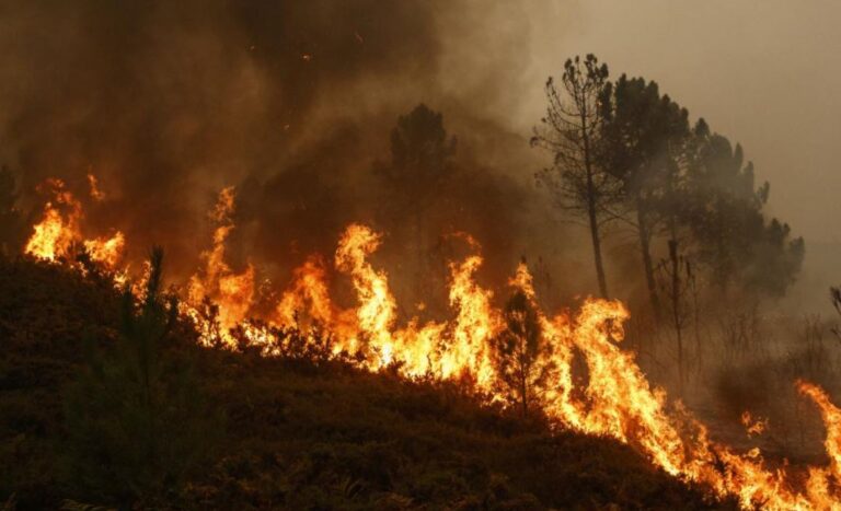 Ова е состојбата со активни пожари на територијата на Македонија до 8 часот
