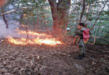 СТАРИ И НОВИ ПОЖАРИ Еве каде гореше ноќеска и утрово во Македонија