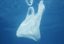 Ќе станат ли луксуз пластичните кеси или ќе ја преживеат и оваа забрана?