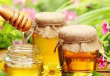 „ДЕНОВИ НА МЕДОТ“ ВО СКОПЈЕ Можe да се дегустира и купи мед и пчелини производи